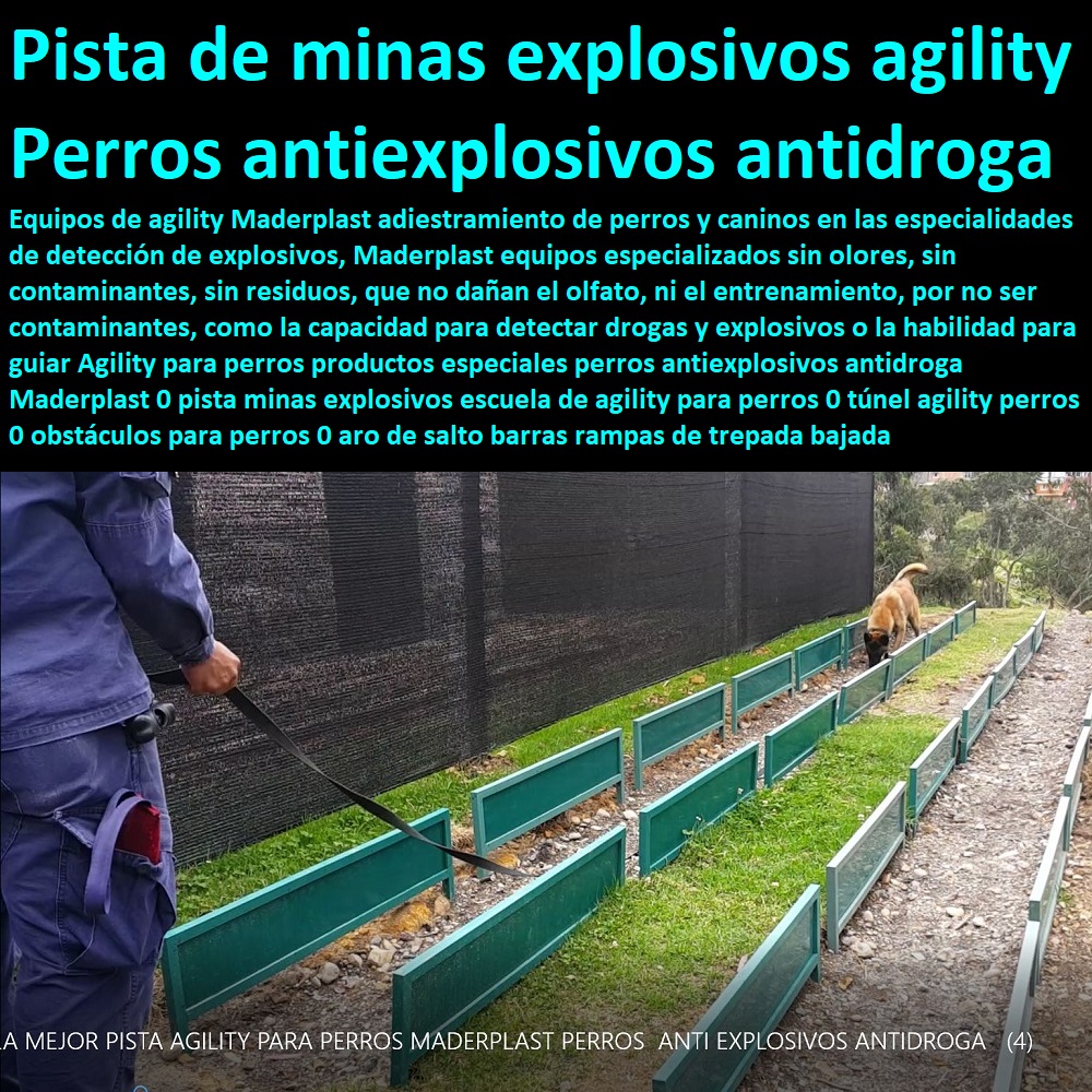 Agility para perros productos especiales perros antiexplosivos antidroga Maderplast 0 pista minas explosivos escuela de agility para perros 0 túnel agility perros 0 obstáculos para perros 0 aro de salto barras rampas de trepada bajada